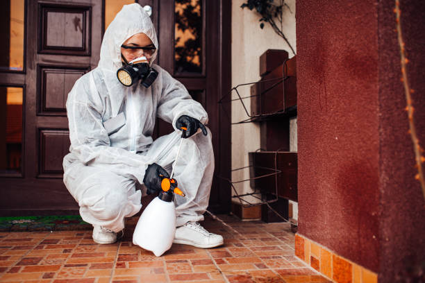 Reliable Ant Control contractor in Daisetta, TX by Show Me Pest Control